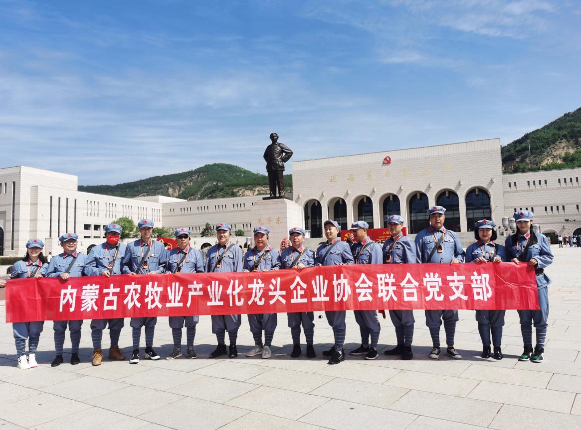 內(nèi)蒙古農(nóng)牧業(yè)產(chǎn)業(yè)化龍頭企業(yè)協(xié)會聯(lián)合黨支部赴延安革命圣地開展“學(xué)黨史、感黨恩、跟黨走”主題黨日活動