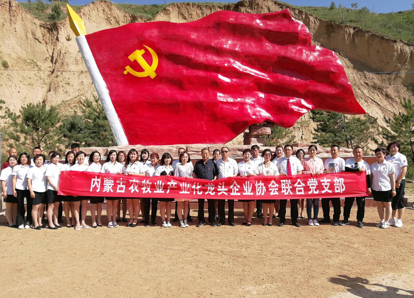 內(nèi)蒙古農(nóng)牧業(yè)產(chǎn)業(yè)化龍頭企業(yè)協(xié)會走進(jìn)石人灣村開展“辦實事、解難題，送溫暖，傳黨恩”公益活動